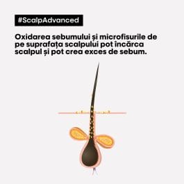 250ml | Sampon si masca cu argila 2 in 1 pentru scalp gras Scalp Advanced L’Oreal Professionnel Serie Expert