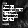 Sampon profesional, L’Oreal Professionnel Serie Expert Silver, pentru neutralizarea tonurilor galbene