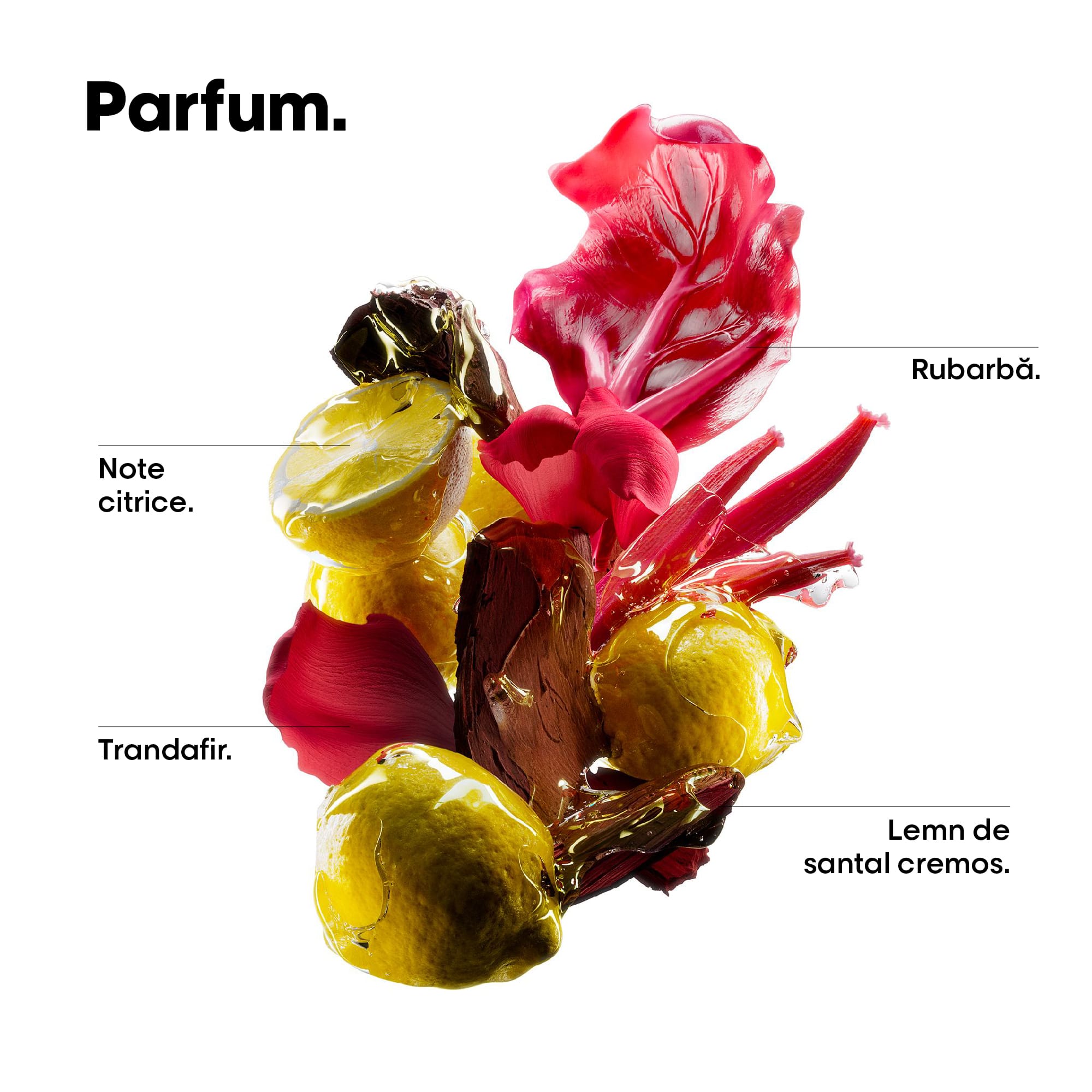 vitamino color spectrum rezerva sampon de 500 ml